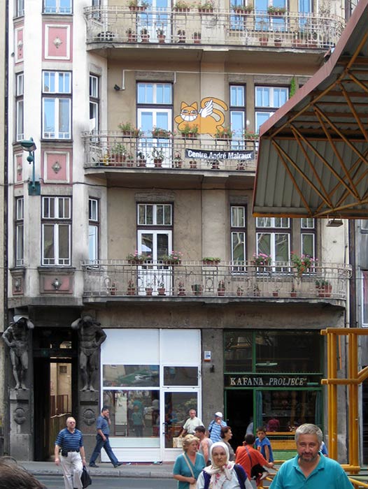 mrchat | sarajebo | bosnia | balkans | cat