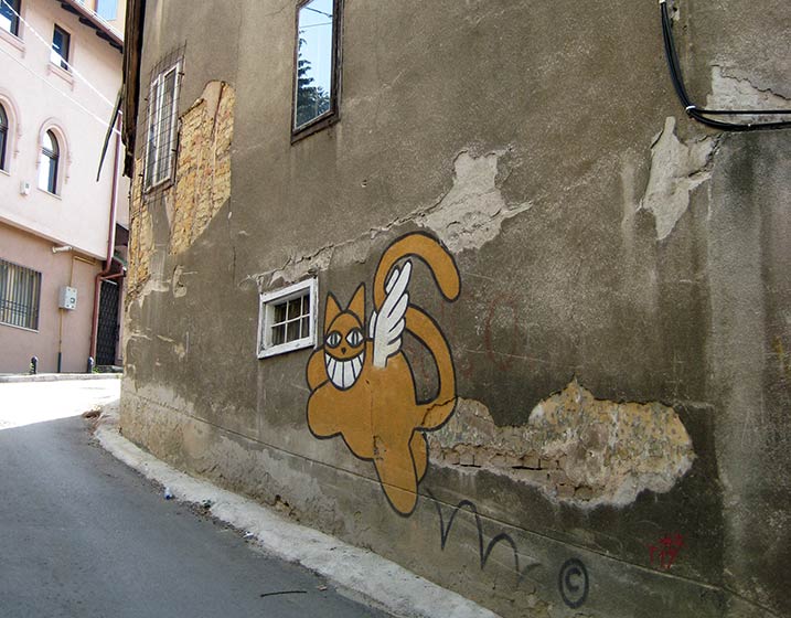 mrchat | sarajebo | bosnia | balkans | cat