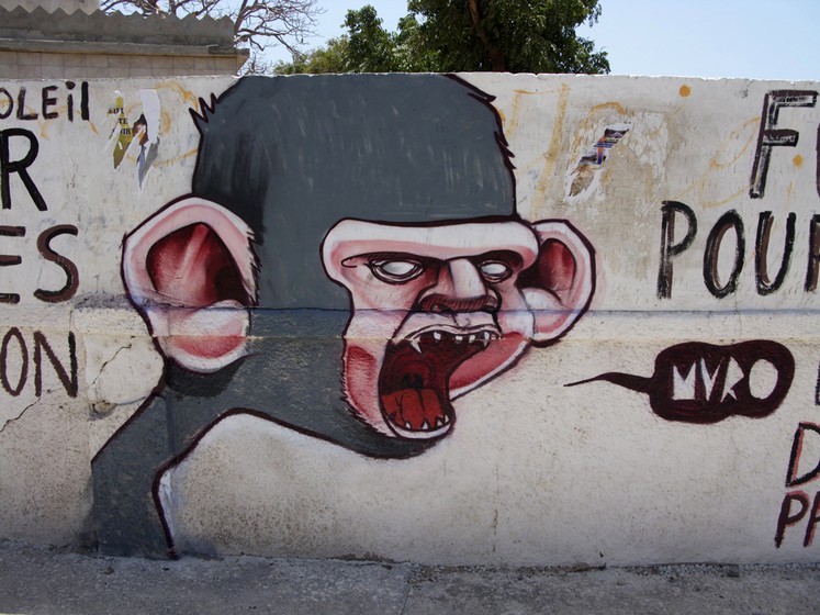 muro | monkey | senegal | various