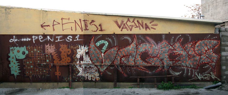 penis vagina penis vagina
