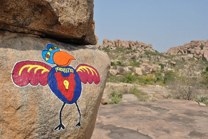 qui | bird | india | various