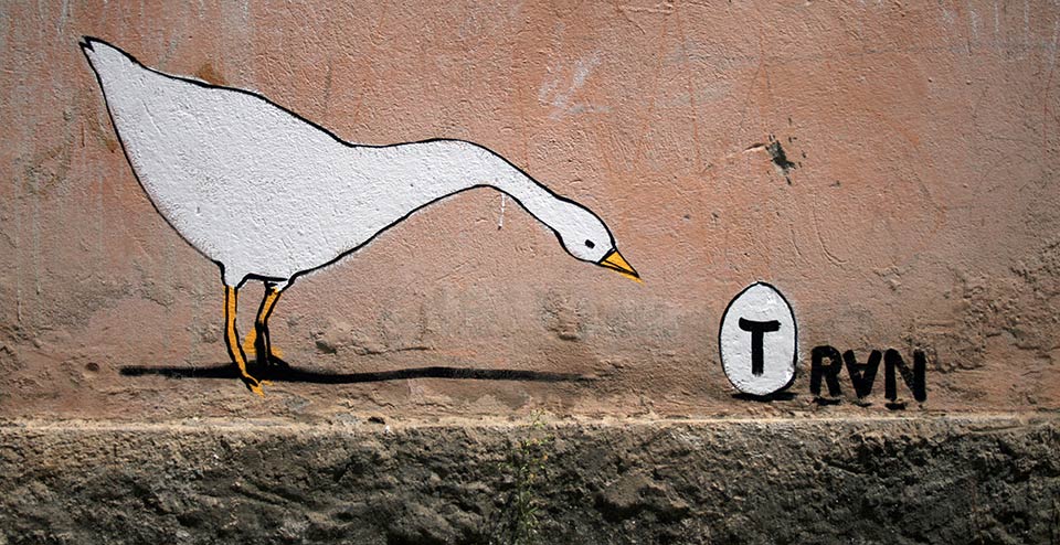 run | bird | albania | balkans