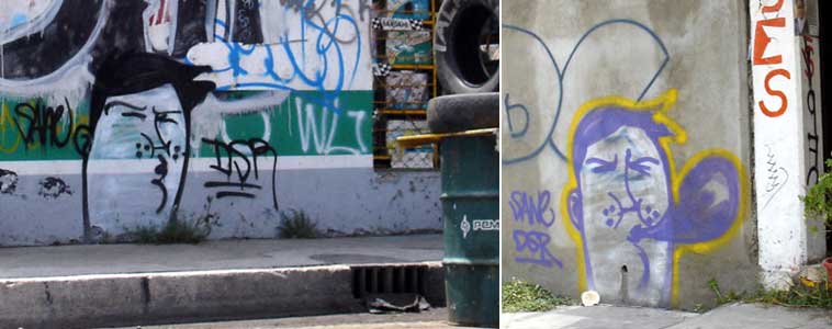 saner | dsr | mexico