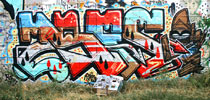 shida | australia (15 votes)