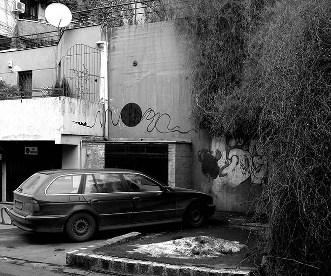 slow | budapest | hungary | bird