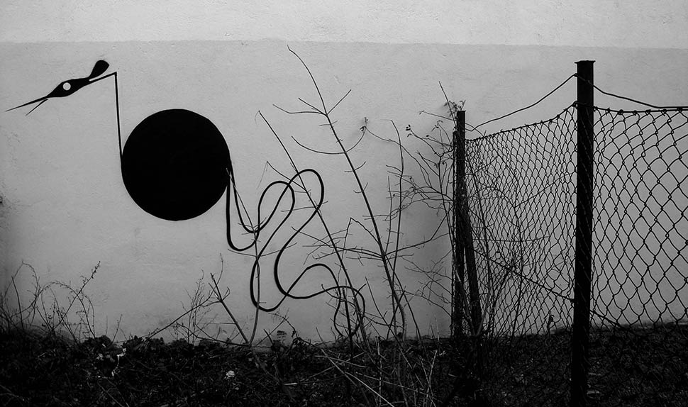 slow | budapest | hungary | bird