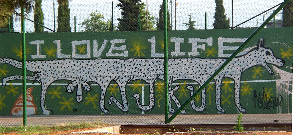 snof | egotrip | slovenia | dog | balkans