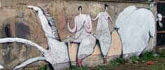 aorta | dulait | zagreb | croatia | horse | balkans (17 votes)