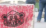busk | wien | austria | various (8 votes)
