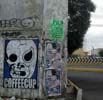 coffeecup | mexico