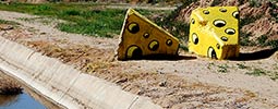 fvs | phoenix | arizona | usa | 3-d | yellow | food | various (58 votes)