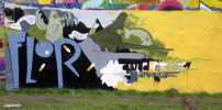 flor | eddymerx | gmcrew | belgium (5 votes)