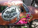 franek | mysza | car | poland (6 votes)
