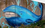 jermain | blue | whale | varna | bulgaria | balkans (24 votes)