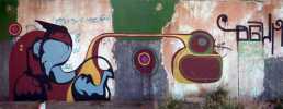 kboco | san | goainia | brazil | south-america (2 votes)