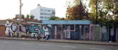 kboco | san | goainia | brazil | south-america (2 votes)