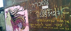ltd | israel | various (10 votes)