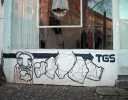 tgs | zurich | various (2 votes)