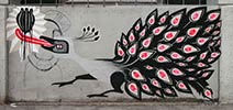 tika | zurich | bird | swiss | various (21 votes)