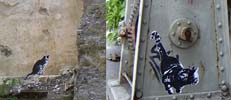 zoobus | montreux | swiss | various (3 votes)