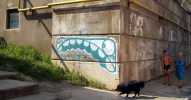 apl | 315crew | ukraine
