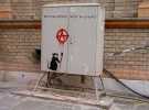 banksy | wien | austria | various (3 votes)