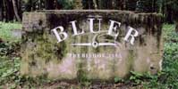 bluer | trebisov | slovakia | various (3 votes)
