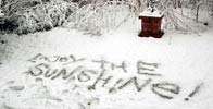 cane | snow | floor | austria | various | white (5 votes)
