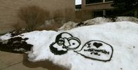 chase | snow | wisconsin | various (15 votes)