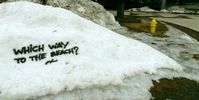 chase | snow | wisconsin | various (26 votes)