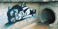 claudio | ethos | brazil | various | monkey (5 votes)