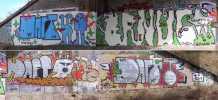 daft | kgs | ernioe | poztbo | iig | poland (3 votes)