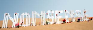 filippo-minelli | sahara | various (50 votes)
