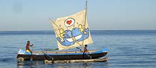 jace | madagascar | boat | various (32 votes)