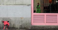 kata | pig | pink | belgrade | balkans (7 votes)