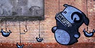 kiwie | latvia | riga | various (32 votes)