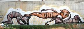 klone | dog | tel-aviv | various (25 votes)