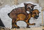 klone | dog | tel-aviv | various (20 votes)