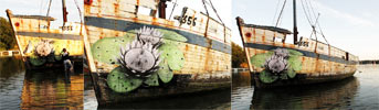 ludo | boat | process | various (57 votes)