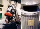 l-x | malta | trash | lavalletta | various (2 votes)