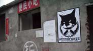 mezzoforte | china | cat | asia (8 votes)