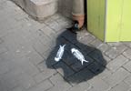 mkkp | fish | floor | budapest | hungary (32 votes)