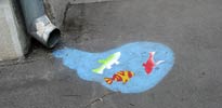 mkkp | fish | floor | hungary (35 votes)