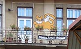 mrchat | sarajebo | bosnia | balkans | cat (16 votes)