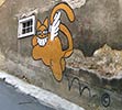 mrchat | sarajebo | bosnia | balkans | cat (18 votes)