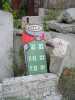 nekone | ukraine (3 votes)
