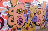 onio | brazil | various