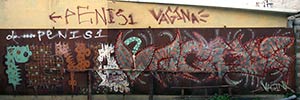 penis | vagina | israel | various (21 votes)