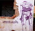 ramon | martins | brazil | purple | various (4 votes)