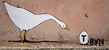 run | bird | albania | balkans (28 votes)